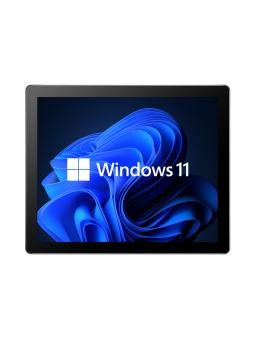 Monitor Open Frame 17", 4:3, Touchscreen opzionale