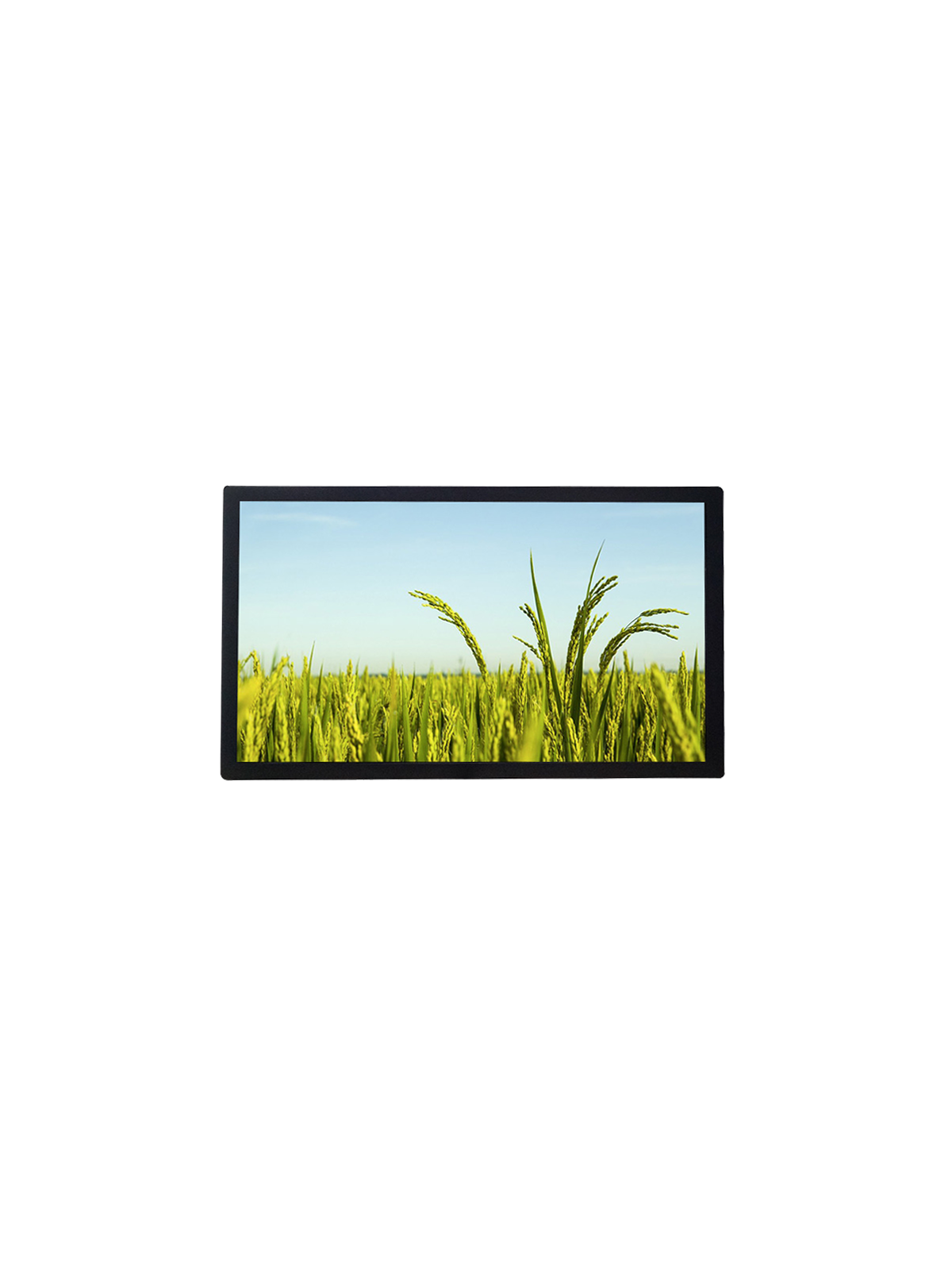Monitor Open Frame 43", 16:9, Touchscreen opzionale